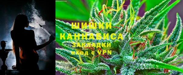 гашик Алексин