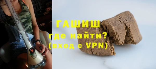 гашик Алексин