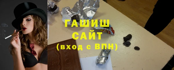 гашик Алексин