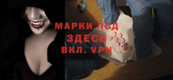 гашик Алексин