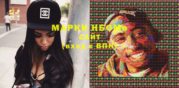 гашик Алексин