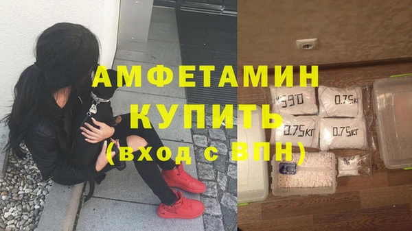 гашик Алексин