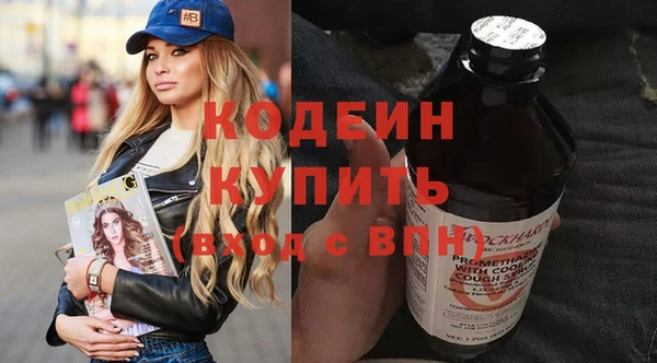гашик Алексин