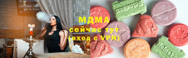 гашик Алексин