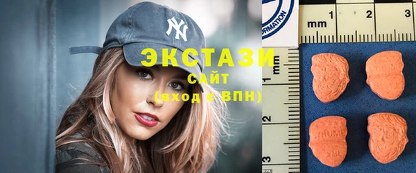 гашик Алексин