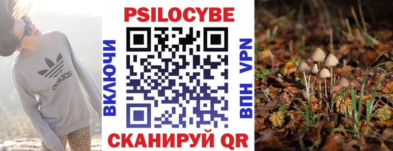 продажа наркотиков  Пикалёво  KRAKEN ссылки  Галлюциногенные грибы GOLDEN TEACHER 