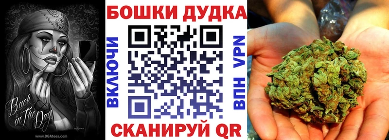 купить наркотики цена  Пикалёво  Бошки Шишки AK-47 